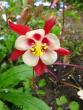 tn_gallery_4113_3110_5420.jpg