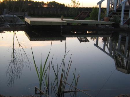 gallery_12685_2802_84729.jpg