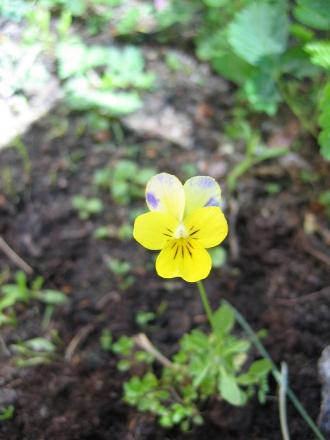 gallery_23163_3516_62563.jpg