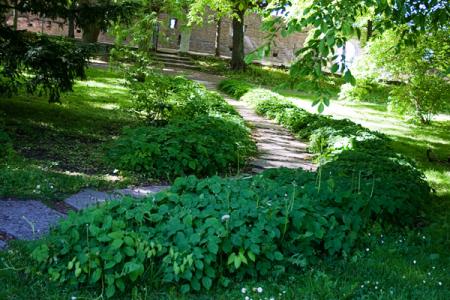 gallery_2283_3521_172253.jpg