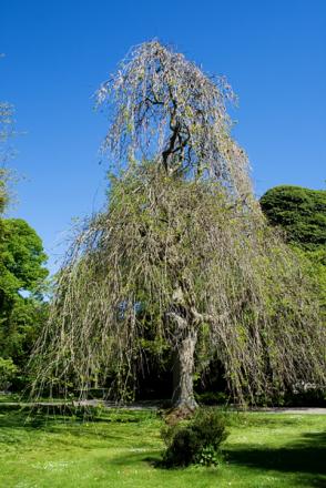 gallery_2283_3521_305001.jpg