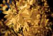 tn_gallery_2283_3519_86352.jpg
