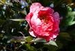 tn_gallery_2283_3521_12731.jpg