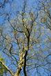 tn_gallery_2283_3521_474915.jpg