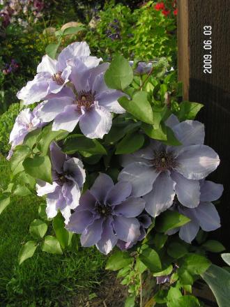 gallery_1786_2895_28070.jpg