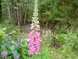 tn_gallery_18863_3525_95489.jpg