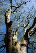 tn_gallery_2283_3521_212652.jpg