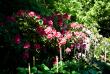 tn_gallery_2283_3521_32858.jpg