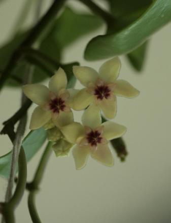 gallery_22185_3296_23490.jpeg