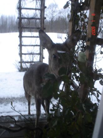 gallery_23100_3532_81339.jpg