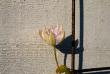 tn_gallery_2283_3519_86831.jpg