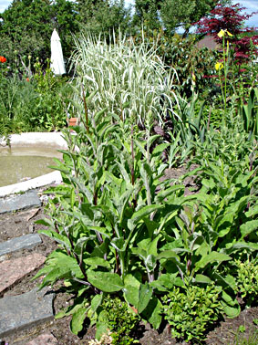 gallery_3819_3382_24623.jpg