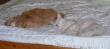 tn_gallery_352_1285_79315.jpg