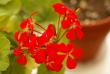 tn_gallery_3917_3538_26787.jpg