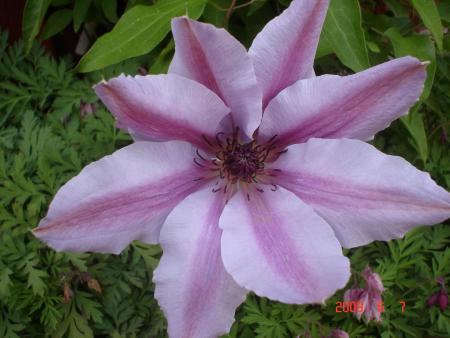gallery_23100_3409_38105.jpg