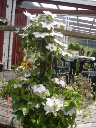 gallery_23100_3409_205282.jpg