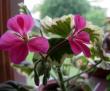 tn_gallery_352_2076_64150.jpg