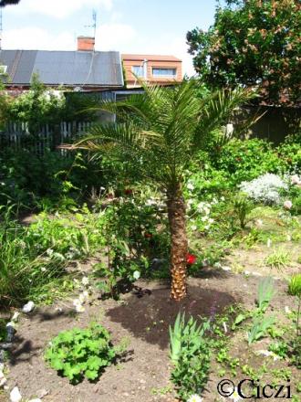 gallery_4113_3110_149462.jpg