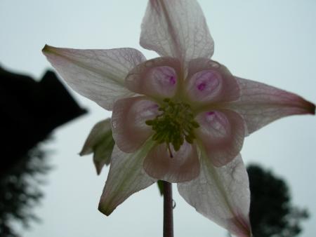 gallery_16329_3568_40375.jpg