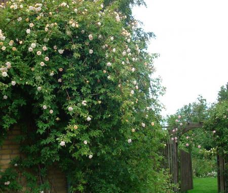 gallery_12789_2988_146113.jpg
