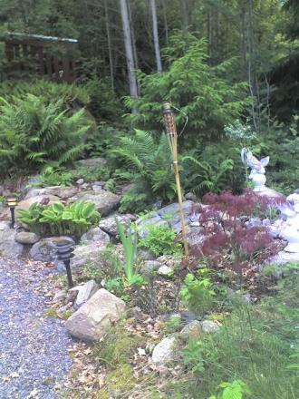 gallery_43_3569_26372.jpg
