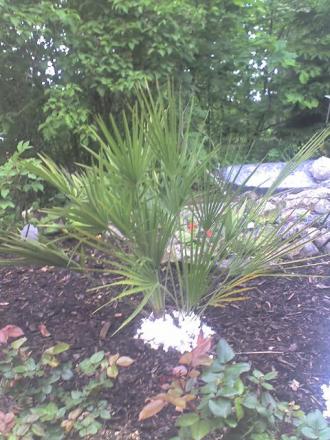 gallery_43_3569_41616.jpg