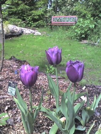gallery_43_3569_48136.jpg