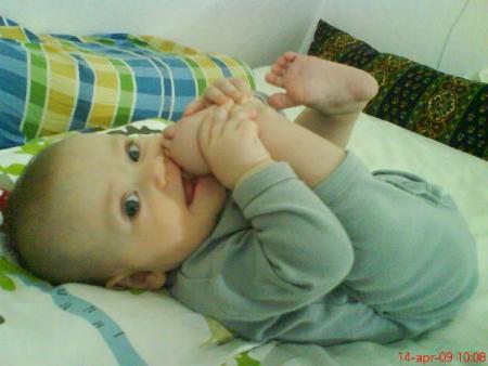 gallery_9657_3013_38584.jpg