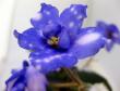 tn_gallery_2821_3570_21444.jpg