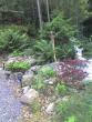 tn_gallery_43_3569_26372.jpg