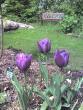 tn_gallery_43_3569_48136.jpg