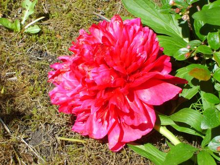 gallery_22761_3371_240119.jpg