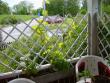 tn_gallery_22761_3371_79658.jpg