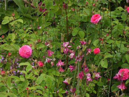 gallery_20295_3065_275558.jpg