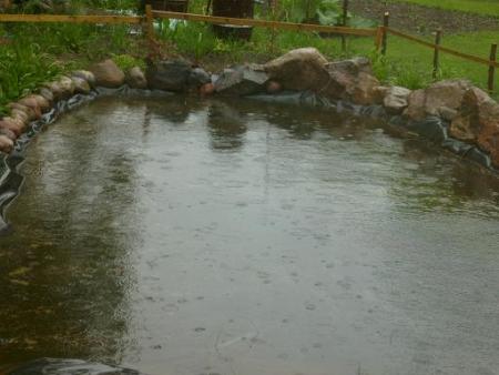 gallery_10191_2848_29600.jpg