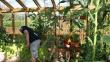 tn_gallery_11781_3585_32894.jpg
