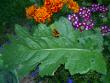 tn_gallery_18863_3583_5942.jpg