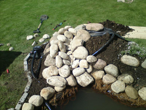 gallery_24388_3586_77180.jpg