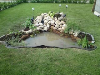 gallery_24388_3586_8933.jpg