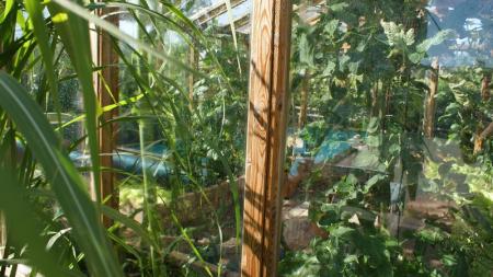 gallery_11781_3585_103863.jpg