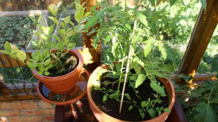 gallery_11781_3585_29549.jpg