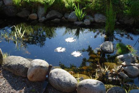 gallery_13523_3213_41290.jpg