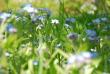 tn_gallery_13523_3241_82147.jpg