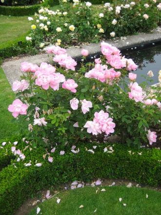 gallery_12351_3599_179088.jpg