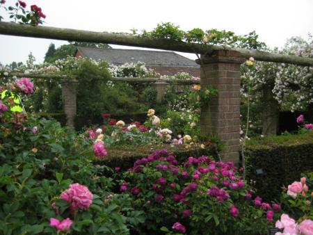 gallery_12351_3599_75916.jpg