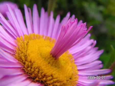 gallery_1786_2895_1635.jpg