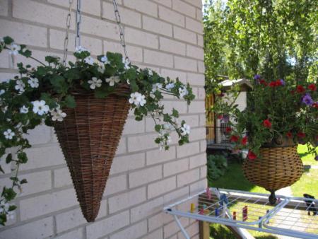 gallery_23204_3523_62079.jpg