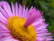 tn_gallery_1786_2895_1635.jpg