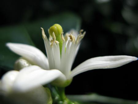 gallery_10947_664_17784.jpg
