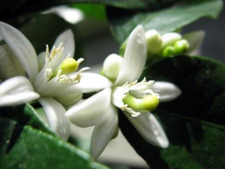 gallery_10947_664_24203.jpg